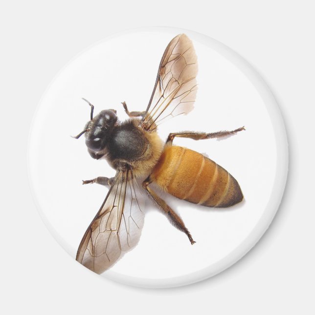 Imán Honey Bee (Frente)