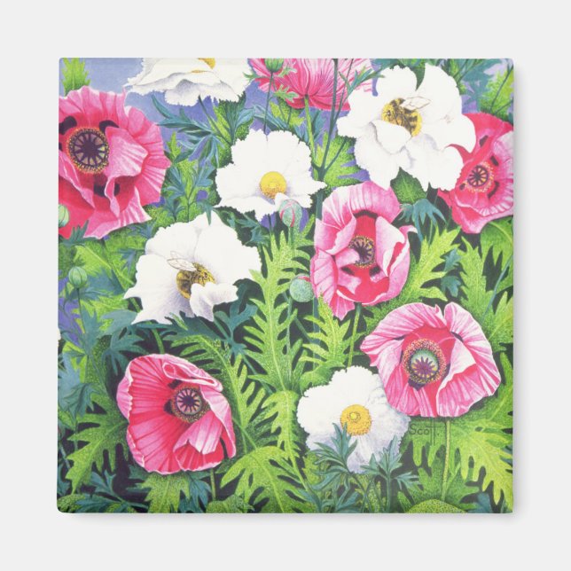 Imán Honey Bee (Frente)