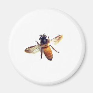 Imán Honey Bee