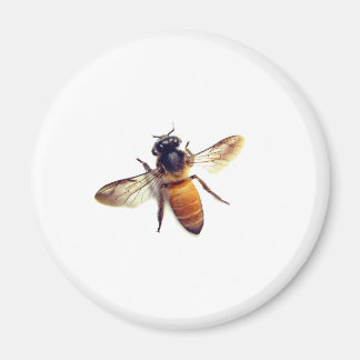 Imán Honey Bee