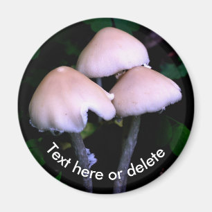 Imán Hongos de medianoche Naturaleza Personalizada