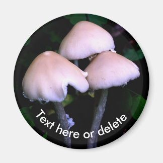 Imán Hongos de medianoche Naturaleza Personalizada
