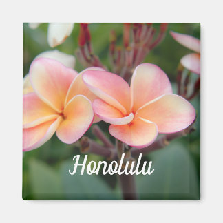 Imán Honolulu Plumeria Magnet