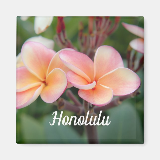 Imán Honolulu Plumeria Magnet (Frente)