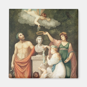 Imán Honrando el busto de Linnaeus