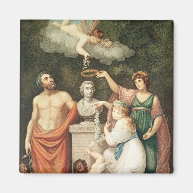 Imán Honrando el busto de Linnaeus (Frente)