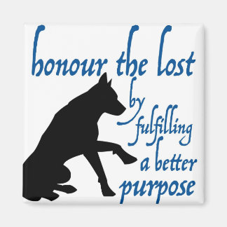 Imán honrar a los perdidos