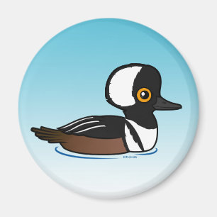 Imán Hooded Merganser