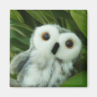 Imán ¡Hoot Hoot!