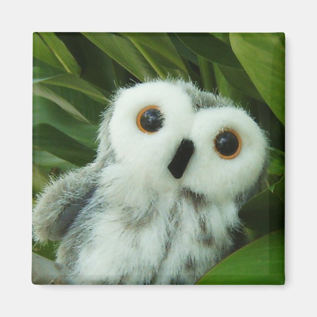 Imán ¡Hoot Hoot! (Frente)