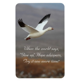 Imán Hope whisky lo intenta una vez más