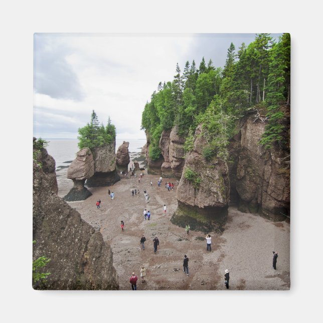 Imán Hopewell Rocks Low Tide Canada Magnet (Frente)