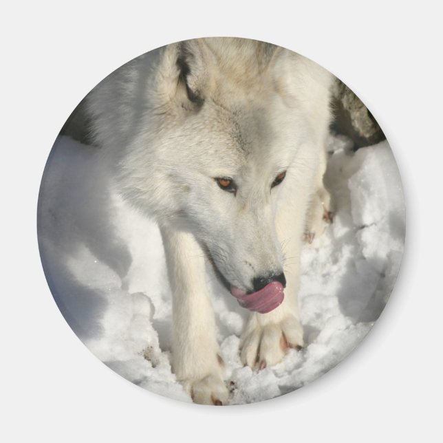 Imán Hora de la cena (Frente)