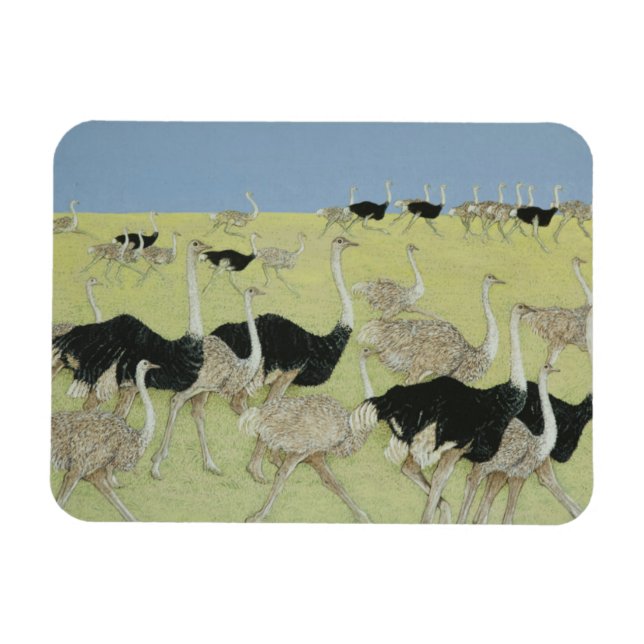 Imán Hora punta (Horizontal)