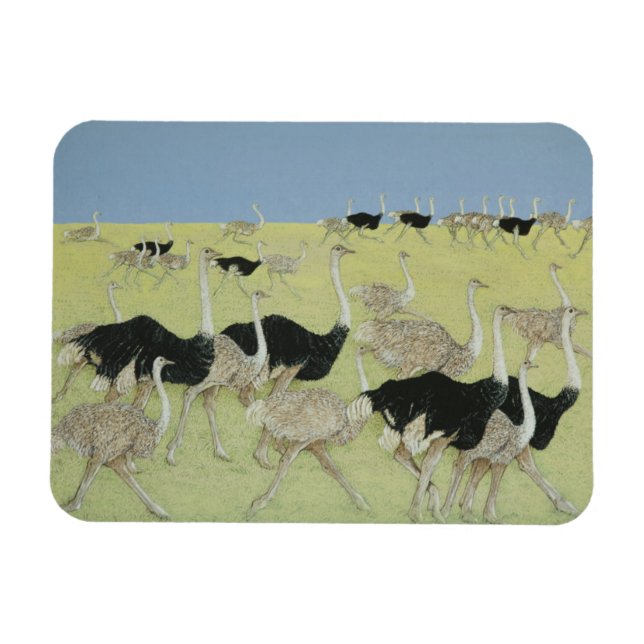 Imán Hora punta 2 (Horizontal)