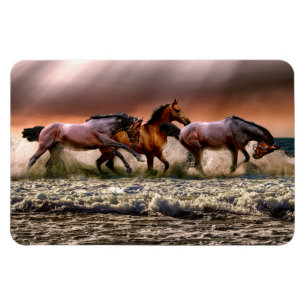 Imán Horario magnético