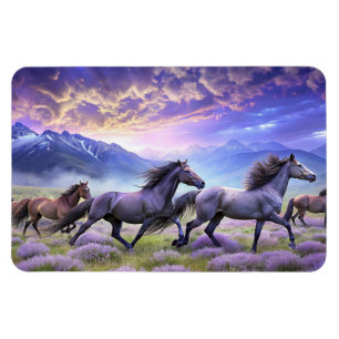 Imán Horario magnético