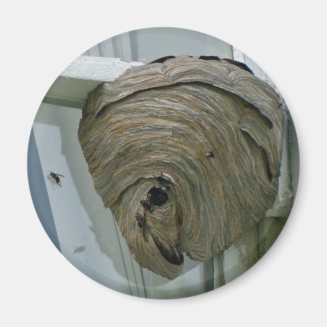 Imán Hornets Nest (Frente)