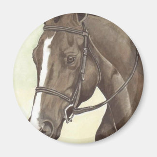 Imán HORSE Champion Apéndice QH Mare