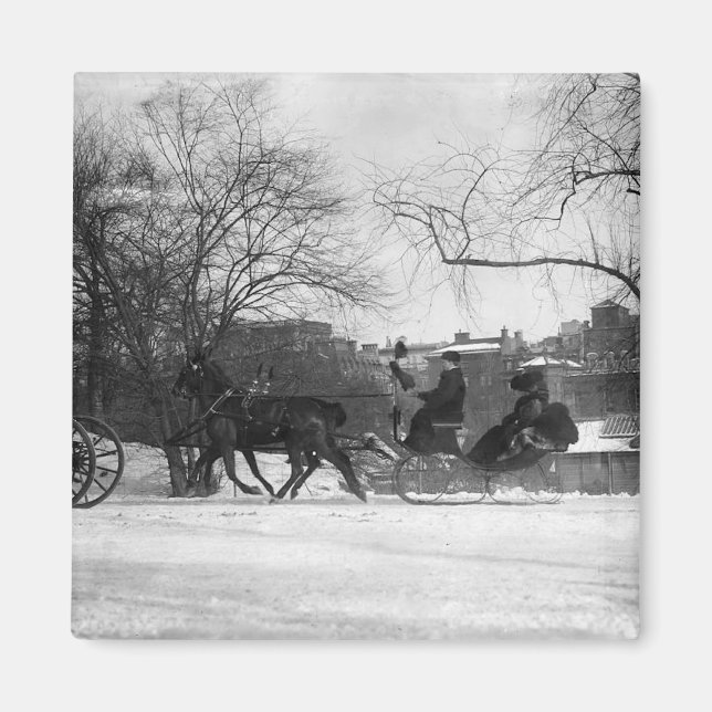 Imán Horse Drawn Sleigh NYC Magnet (Frente)