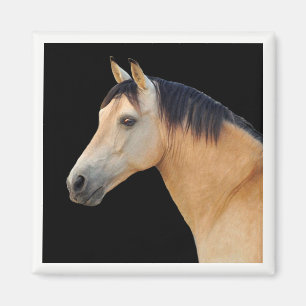 Imán Horse Head Magnet