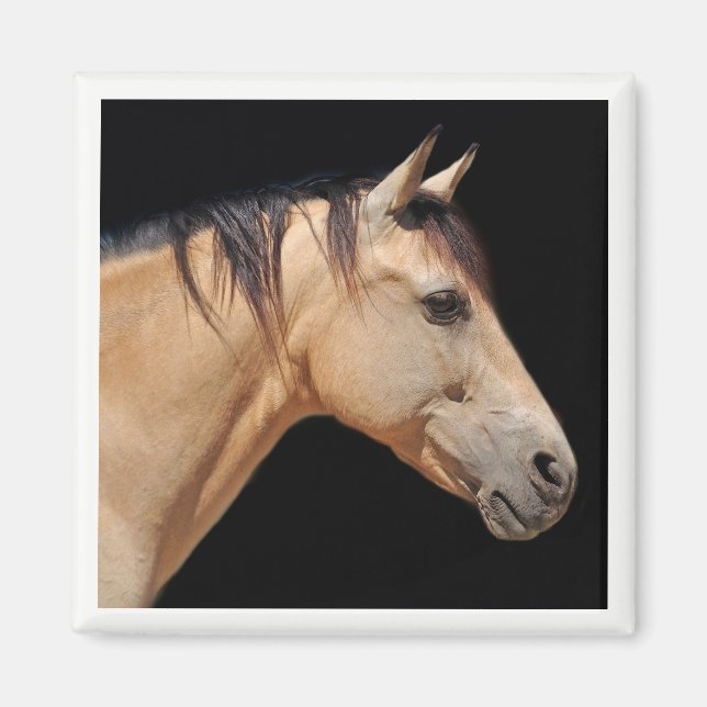 Imán Horse Head Magnet (Frente)