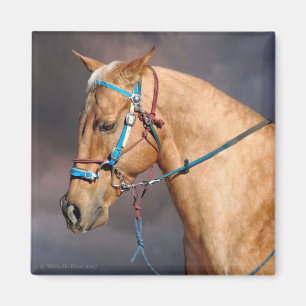 Imán Horse Head Magnet