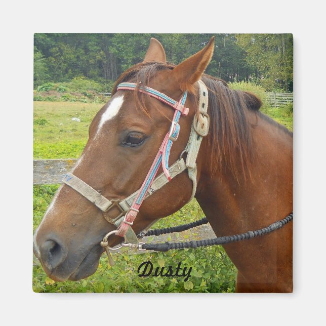 Imán Horse Magnet (Frente)