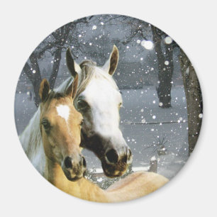 Imán Horse Magnet
