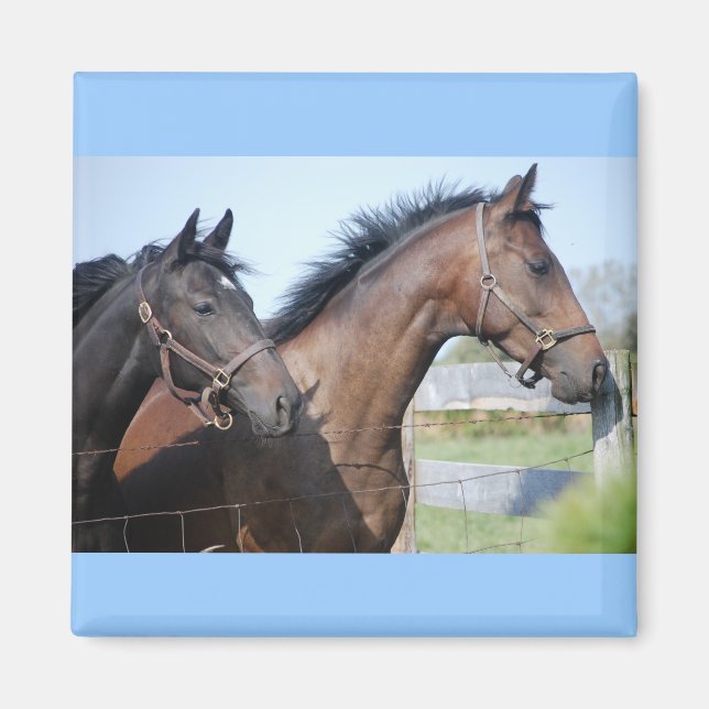 Imán Horse Race Finish Line (Frente)