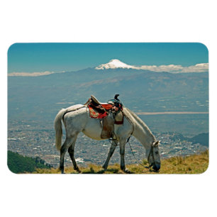 Imán Horse & volcano, Quito, Ecuador