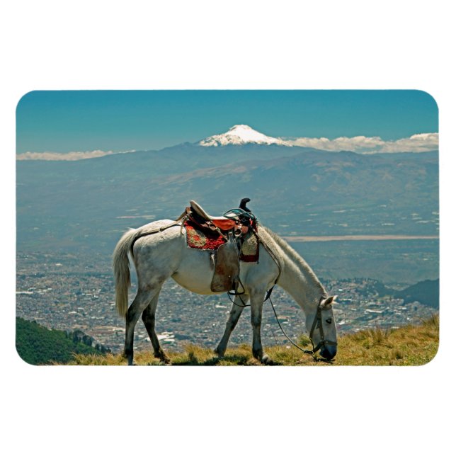 Imán Horse & volcano, Quito, Ecuador (Horizontal)