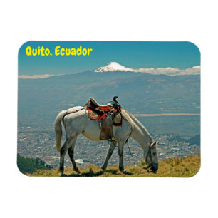 Imán Horse & volcano, Quito, Ecuador