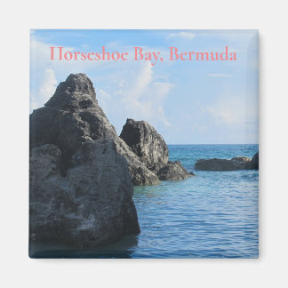 Imán Horseshoe Bay Bermuda