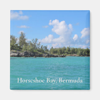Imán Horseshoe Bay Bermuda