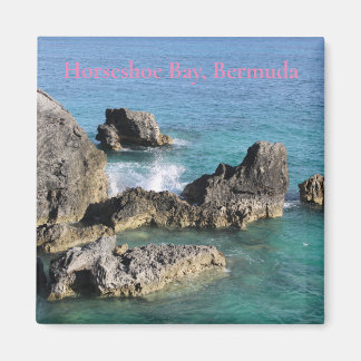 Imán Horseshoe Bay Bermuda