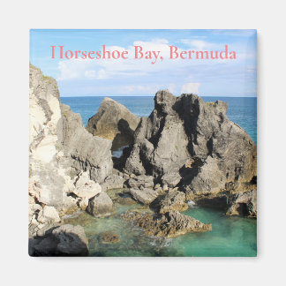 Imán Horseshoe Bay Bermuda