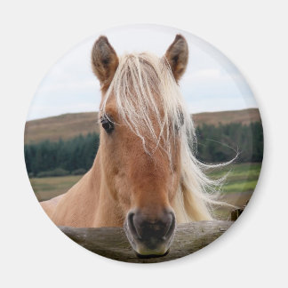 Imán Horsie