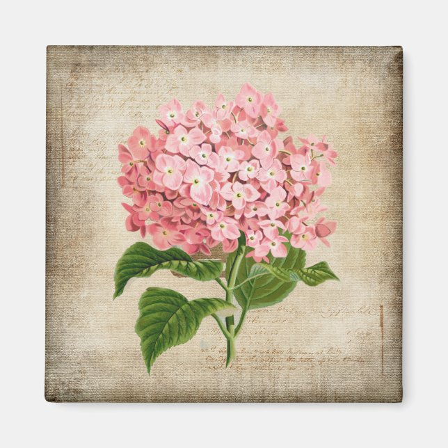 Imán Hortensia Rosa (Frente)
