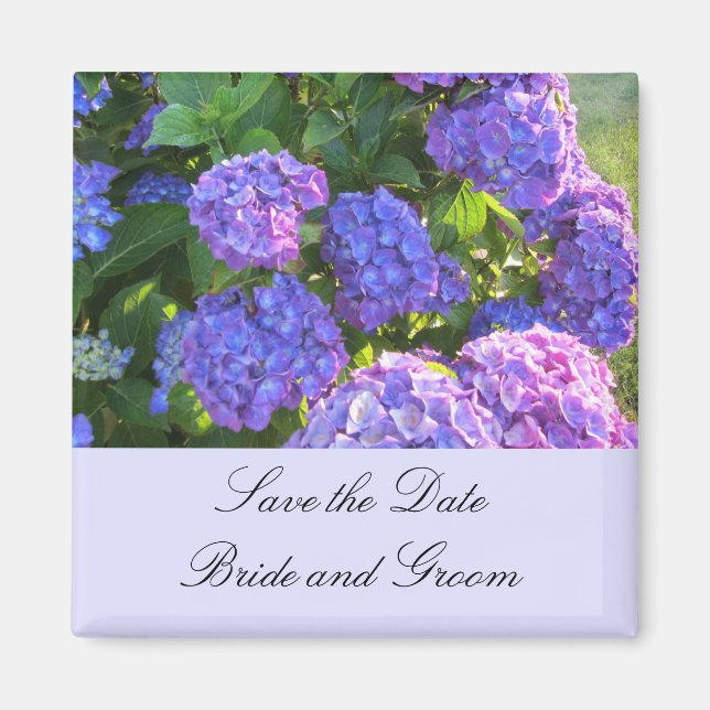 Imán Hortensias Azules y Moradas (Frente)