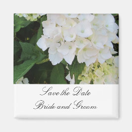 Imán Hortensias Blancas