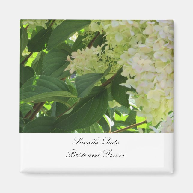 Imán Hortensias Blancas Guarden la Fecha (Frente)