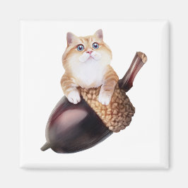 Imán Hosico Epifania