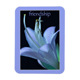 Imán Hosta Flor Ornate Lavender Friendster