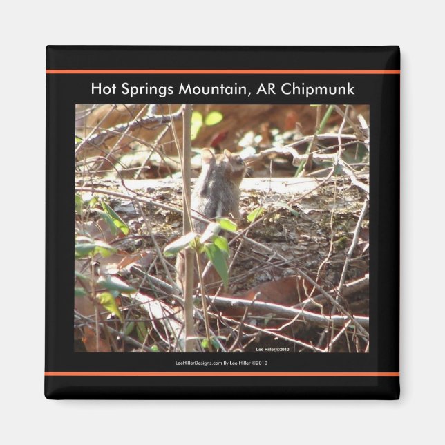 Imán Hot Springs Mountain, Regalos de Chipmunk de Arkan (Frente)