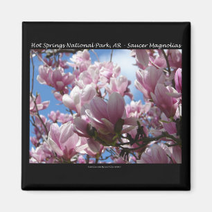 Imán Hot Springs National Park AR Platillo Magnolia Reg