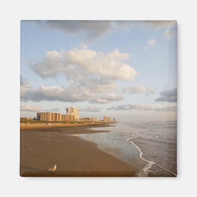 Imán Hoteles en South Padre Island, Texas, Estados Unid (Frente)
