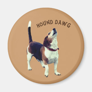 Imán Hound Dawg Beagle Dog Cute