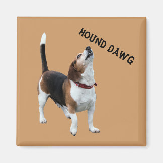 Imán Hound Dawg Beagle Funny Dog Magnet