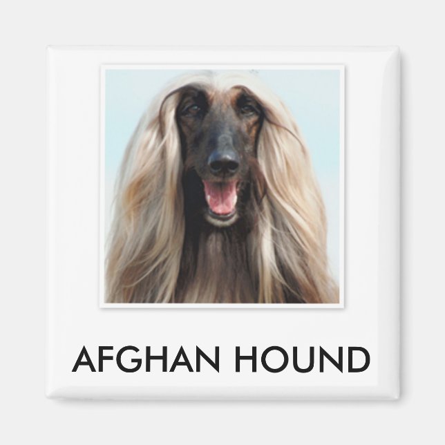 Imán Hound Magnet afgano (Frente)